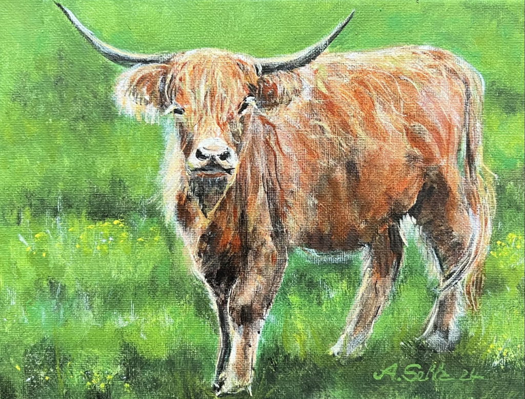 Bild von einem Stier
