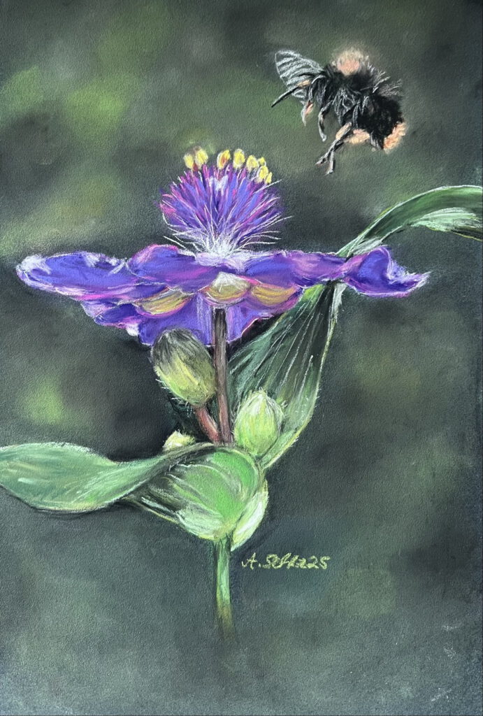 Bild Blume mit Biene