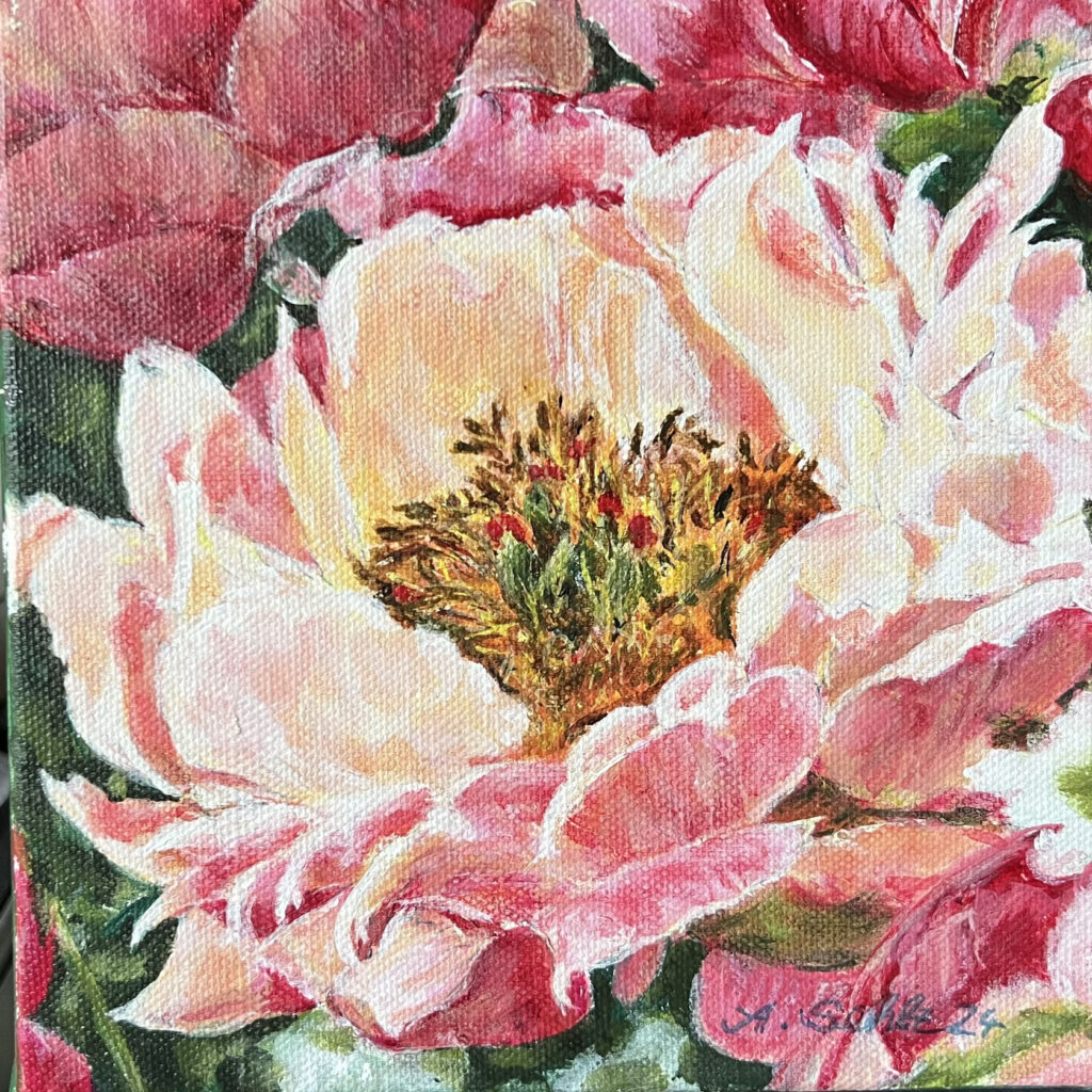 Pfingstrose, Acryl