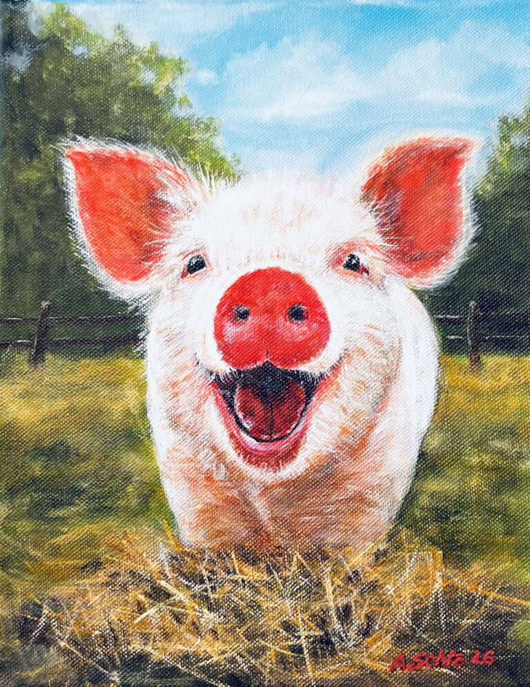 Piggy, Acryl