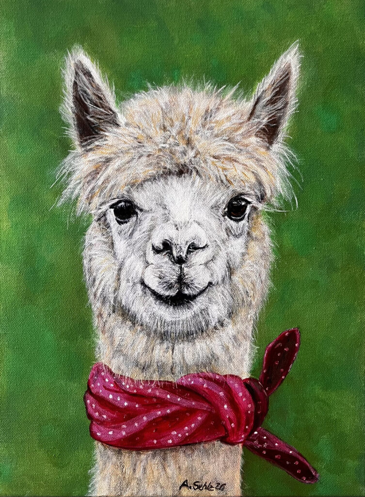 Bild Fussel, Lama